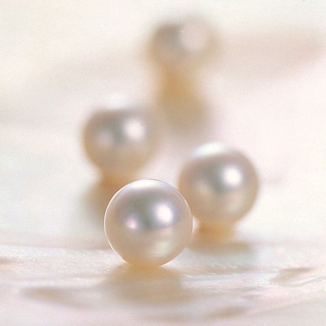 Pearls Aesthetic, Pearl Photography, Pearl Aesthetic, Pearls Photography, Photographing Jewelry, Nature Art Drawings, Jewelry Pearls, Cute Wallpaper For Phone, Pearl Types