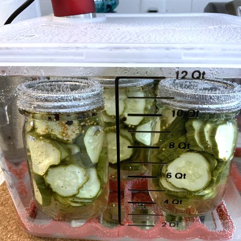 Sous Vide Canning Recipes, Sous Vide Pickles, Sous Vide Canning, Dilly Beans, Canning Pickles, Canned Food Storage, Canning Supplies, Pickled Garlic, Sous Vide Recipes