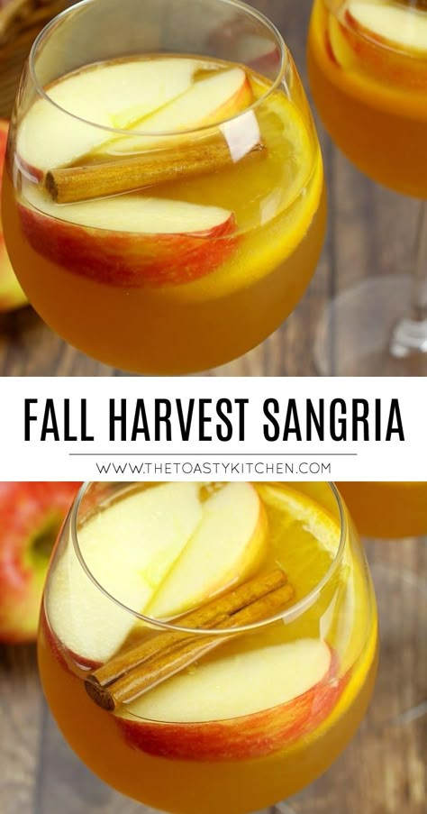 Fall Harvest Sangria by The Toasty Kitchen #sangria #fall #harvest #fireball #applecider #apple #orange #alcoholic #falldrink #drinkrecipe #recipe #drink Campfire Drinks, Harvest Sangria, Sangria Fall, Apple Cider Sangria Recipe, Best Sangria Recipe, Fall Sangria Recipes, Summer Sangria Recipes, White Sangria Recipe, Red Sangria Recipes