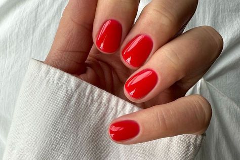 The 8 Best Red Nail Polishes of All Time | The Everygirl Long Round Nails, Opi Red Nail Polish, Black Cherry Nails, Opi Red, Silver Nail Polish, Fall Nail Color, Sheer Nails, Red Manicure, Red Polish