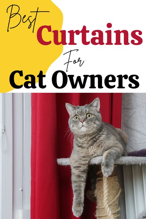 Cat Proof Curtains - Best Tips What To Look For ⋆ Happy City Cat Cat Proof Balcony, Diy Cat Enclosure, Cat Projects, Best Curtains, How To Cat, Cats Stuff, Cat Proofing, Cats Rule, Cat City