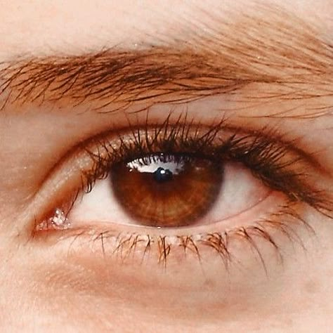 Brow Eyes, Eyes Reference, Colours Aesthetic, Eyes Don't Lie, Eye Reference, Eye Colours, Photos Of Eyes, Aesthetic Eyes, Mood Board Inspiration