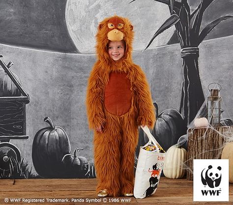 Endangered Orangutan Costume Orangutan Costume, Neighborhood Halloween, Animal Costumes, Toddler Halloween Costumes, Toddler Halloween, Baby Furniture, The Neighborhood, Halloween Night, Kids Bedding