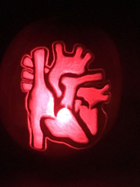 Pumpkin carving/etching human heart Pumpkin Carving Nurse Ideas, Nursing Pumpkin Carving Ideas, Pumpkin Carving Ideas Medical, Cardiac Pumpkin Decorating, Biology Pumpkin Carving Ideas, Ems Pumpkin Carving Ideas, Nurse Pumpkin Carving, Greys Anatomy Pumpkin Carving Ideas, Pumpkin Carving Ideas Medical Theme