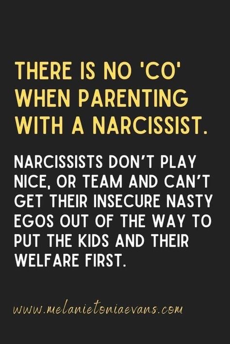 Parenting Hacks Teenagers, Parallel Parenting, Parental Alienation, Tell My Story, The Horrors, Narcissistic Behavior, Co Parenting, Feelings And Emotions, Parenting Quotes