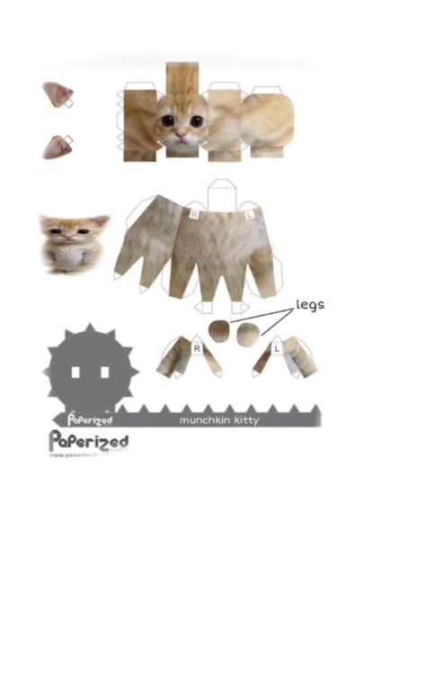 Cat Template, Anime Kitten, Character Statue, Character Template, White Cat, Ideas Style, Home Ideas, Stuff To Do, Baby Mobile