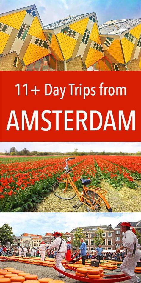 11+ Best Day Trips from Amsterdam Netherlands Cities, Tulips Field, Travel Holland, Day Trips From Amsterdam, Travel Netherlands, Visit Amsterdam, Netherlands Travel, Amsterdam Travel, Amsterdam City