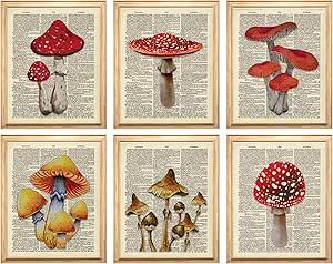 97 Decor Vintage Mushroom Poster - Mushroom Wall Decor, Retro Mushroom Wall Art Prints, Cottagecore Room Decor Aesthetic, Earthy Dictionary Mushroom Picture for Home Bedroom (8x10 UNFRAMED)