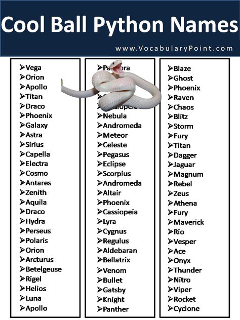 Finding the perfect name for your new ball python can be a daunting task. With so many different possibilities and names to consider, it can ... Read more The post 250+ Cool Ball Python Names appeared first on Vocabulary Point. Ball Python Names, Cute Snake Names, Snake Cage Ideas Ball Python, Snake Names Ideas, Pet Snake Names, Snake Terrarium Ideas Ball Python, Ball Python Terrarium Ideas, Ball Python Cute, Ball Python Cage