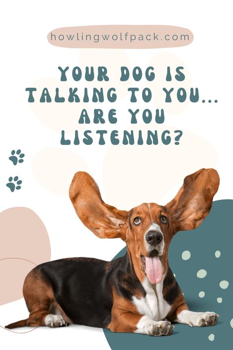 Dog Behaviors and What They Mean: Do you ever feel like your dog is trying to tell you something? Well, they are! Our dogs use facial expressions, vocalisations and body language to communicate with us. It's our job as their owners to learn how to read their dog behavior and respond accordingly. This blog looks at the most typical dog behaviors and breaks down what each one means. Dog Behavior Meaning, Dogs Signs, Dog Whining, Dog Owner Tips, Dog Expressions, Dog Body Language, Dog Behavior Training, Dog Behavior Problems, Dog Language