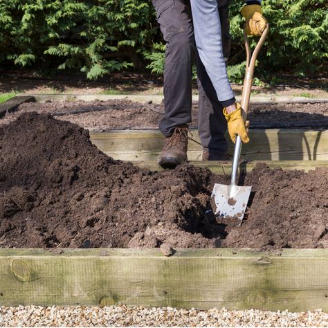 Dig Gardens, Human Remains, Fall Vegetables, Backyard Inspo, Traditional Garden, Top Soil, Flowering Shrubs, Raised Bed, Garden Soil