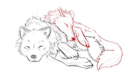 Wolves sleeping by Kibah Canine Anatomy, Wolf Poses, Wolf Sketch, Sketches Art, Wolf Drawing, Canine Art, A Wolf, Animal Sketches, Wolf Art