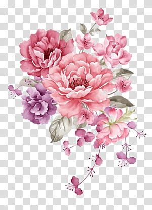 Flowers Pink And Purple, Peony Drawing, Pink Flower Painting, Ink Flowers, Peony Painting, Rose Illustration, Png Flower, Pink Watercolor Flower, Flower Paper