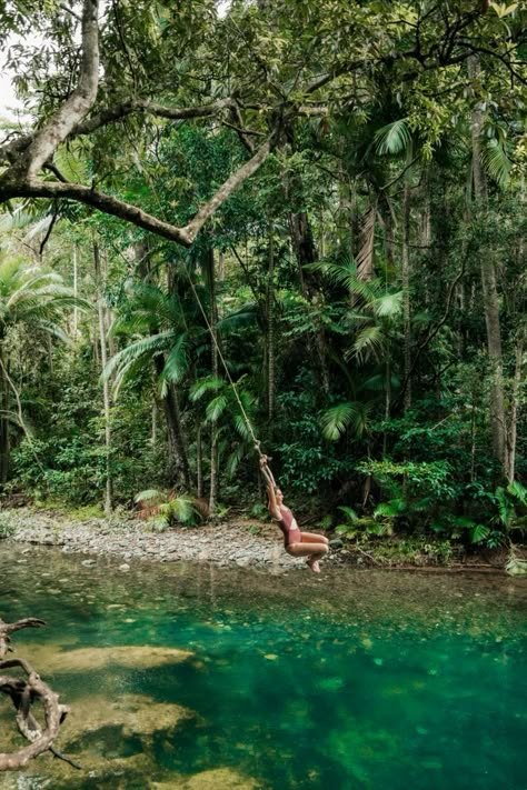 girl on rope swing swinging into bright aqua Emmagen Creek rainforest swimming hole in the Daintree Rainforest, Australia Australian Road Trip, Daintree Rainforest, Jungle Vibes, Port Douglas, Beautiful Hikes, North Queensland, Swimming Holes, Great Barrier Reef, Crystal Clear Water