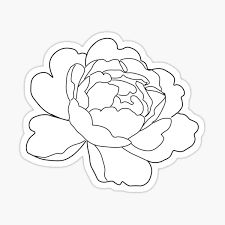 Simple Peony Tattoo Outline, Peony Outline Tattoo, Peony Drawings, Peony Outline, Peony Line Art, Peony Svg, Peony Clipart, Outline Stickers, Flower Tattoo Stencils