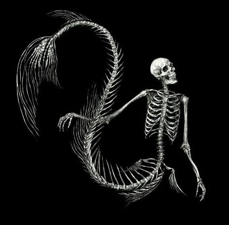 DeadFix » Mermaid skull Mermaid Tattoo Designs, Dark Mermaid, Mermaid Skeleton, Skeleton Drawings, Art Alevel, Dragon Tattoo For Women, Skeleton Tattoos, Mermaid Tattoo, Skeleton Skull