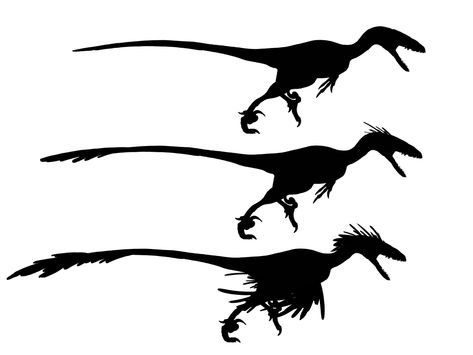 #dinosaur #raptor #velociraptor #feathers #silhouette Velociraptor Feathers, Raptor Silhouette, Feathered Velociraptor, Blue Drawings, Ark Survival Evolved, Drawing Tutorials, Unique Tattoos, Pencil Art, Drawing People