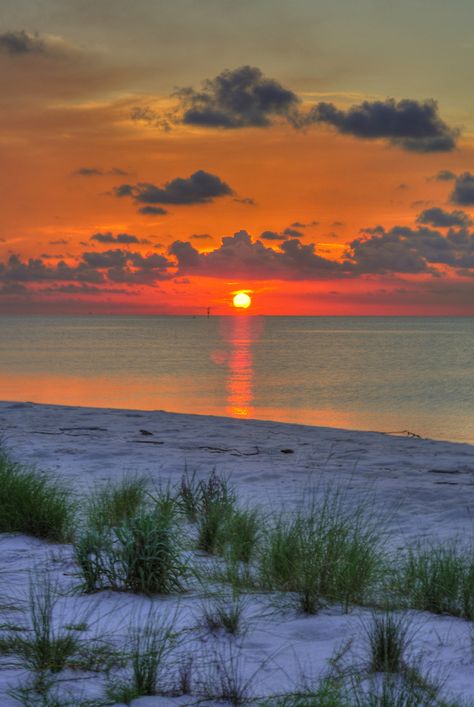 Sunset images captured on the West End of Dauphin Island, Alabama, facing the Mississippi Sound. The north side of the island. Dolphin Island Alabama, Thaw Frozen Shrimp, Shrimp Dips, Shrimp Lunch, Dauphin Island Alabama, Boiled Shrimp, Alabama Beaches, Dauphin Island, Island Sunset