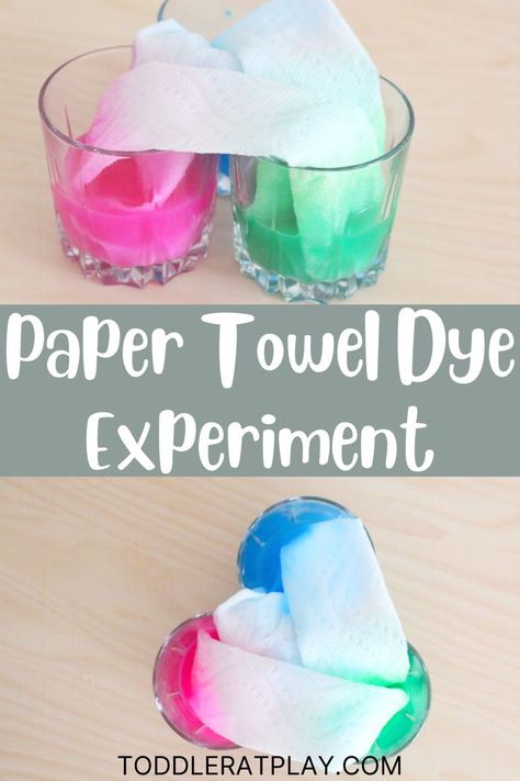 This Paper Towel Dye Experiment is a super quick and easy to prep experiment perfectly fun for toddlers and preschoolers! #dyeexperiment #kidsactivities Paper Towel Water Experiment, Paper Towel Watercolor, Paper Towel Color Experiment, Food Coloring Experiment, Colour Mixing Activities Preschool Science Experiments, Oil And Food Coloring Experiment, Toddler Science Experiments, Stem Experiments, Indoor Kids