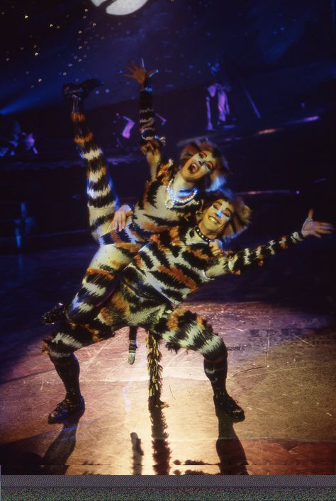 Cats on screen Mungojerrie And Rumpleteazer, Cats The Musical Wallpaper, Rumpleteazer Cats, Cats Broadway, Cats The Musical, Jellicle Cats, Dream Roles, Cool Science, Cat Fountain