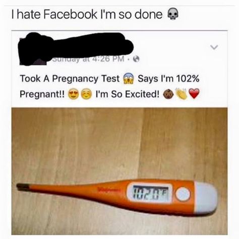 17 People Who Nailed The Facebook Comeback I Hate Facebook, Facebook Jokes, Tumblr Post, Meme Page, Proposal Photography, Funny Statuses, Pregnancy Test, Can't Stop Laughing, I Cant Even