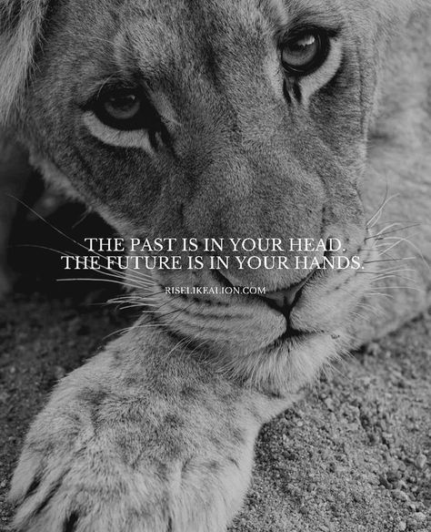 Lion King Remember Who You Are, Lioness Of God, Lioness Quotes, Leo Relationship, Lion Photos, Fb Quotes, Lion Lioness, Leo Woman, Leo Girl