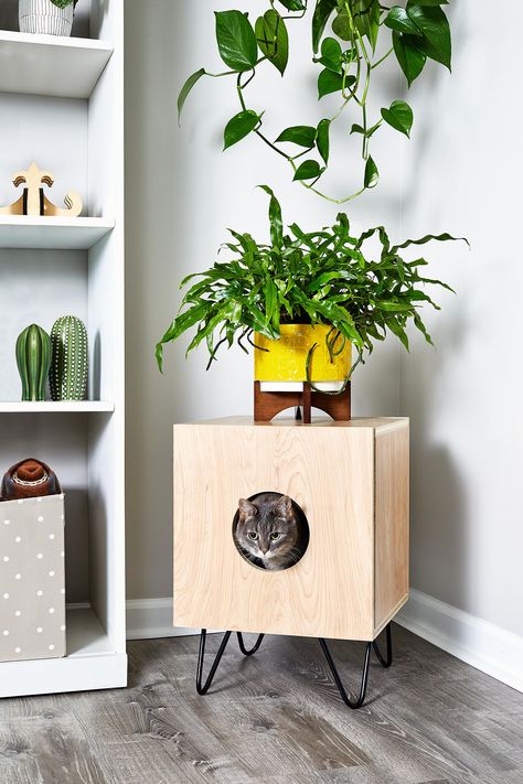 Diy Cat House, Diy Mid Century Modern, Distressed Wood Furniture, Pet Teepee, Diy Mid Century, Modern Cat Furniture, Cat House Diy, Modern Accent Tables, Pet Spaces