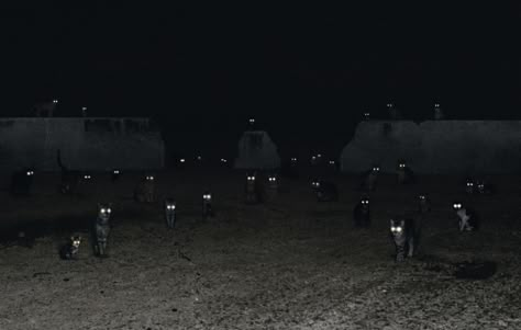 XI — Andrea Galvani Cats Night, Tapetum Lucidum, Laser Eyes, Cat Laser, Creepy Cat, Scary Cat, Cat Background, Warrior Cats, Pretty Cats