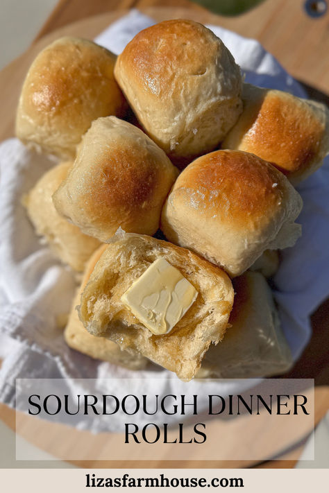 If you’re looking for a tried-and-true recipe for sourdough dinner rolls, you’re in the right place! These soft, fluffy sourdough rolls are perfect for family dinners, holiday gatherings, or as a comforting side to any meal. Sourdough Dinner Rolls Farmhouse, Sourdough Rolls Thanksgiving, Best Sourdough Dinner Rolls, Sour Dough Discard Dinner Rolls, Sweet Sourdough Rolls, Gf Sourdough Rolls, Sourdough Thanksgiving Rolls, Sourdough Brioche Rolls, Sourdough Parker House Rolls