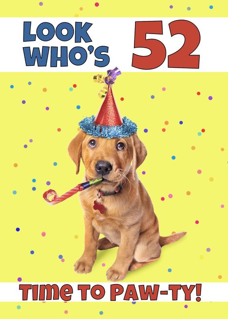 Happy 56 Birthday, Happy 68th Birthday, Happy 77th Birthday, Happy 52 Birthday, Happy Birthday Puppy, Happy 47th Birthday, Happy 58th Birthday, Happy 66th Birthday, Bon Sabbat