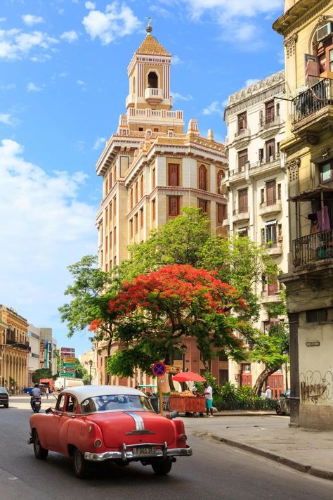 La Habana: 42 cosas que hacer una vez en la vida en la capital de Cuba | Traveler Cuba, Travel, Art