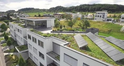 Green Cities, Green Roof System, Module Design, Solar Roof Tiles, Green Roofs, Roof Architecture, Solar Panels For Home, Solar Roof, Best Solar Panels