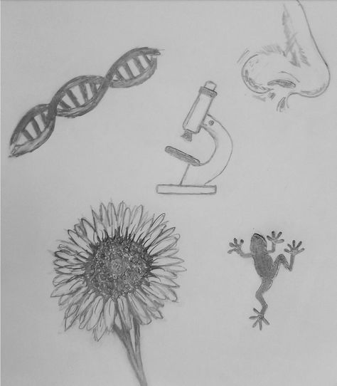 Biology Sketches Drawings, Biology Sketches, Evolutionary Biology, Bio Art, Biology, Drawing Sketches, Art Sketches, Art Drawings, Sketch