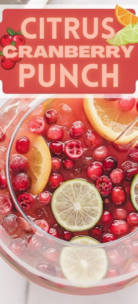 Make this Cranberry Punch for the Holidays! A sparkling tropical punch with cranberry juice, pineapple juice, orange juice, and ginger ale. Slices of fresh oranges and limes, along with cranberries garnish this beverage which makes it so pretty to serve at parties and one cup is never enough! No alcohol in this punch so everyone can drink it at the dinner table. Cranberry Orange Pineapple Punch, Cranberry Orange Juice Ginger Ale Punch, Cranberry Pineapple Orange Juice Punch, Pineapple Ginger Ale Punch, Sparkling Fruit Punch, Cranberry Lime Punch, Cranberry Punch Recipes Ginger Ale, Best Alcoholic Punch, Holiday Punch Recipes Non Alcoholic