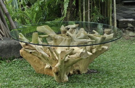 $617.78 Round tree root coffee table in natural finish. Width: 32 inches Height: 18 inches Depth: 32 inches Material: Root Natural Lighting Design, Gold Tables, Natural Coffee Table, Round Glass Coffee Table, Round Coffee Table Modern, Natural Coffee, Home Coffee Tables, Tree Roots, Gold Table