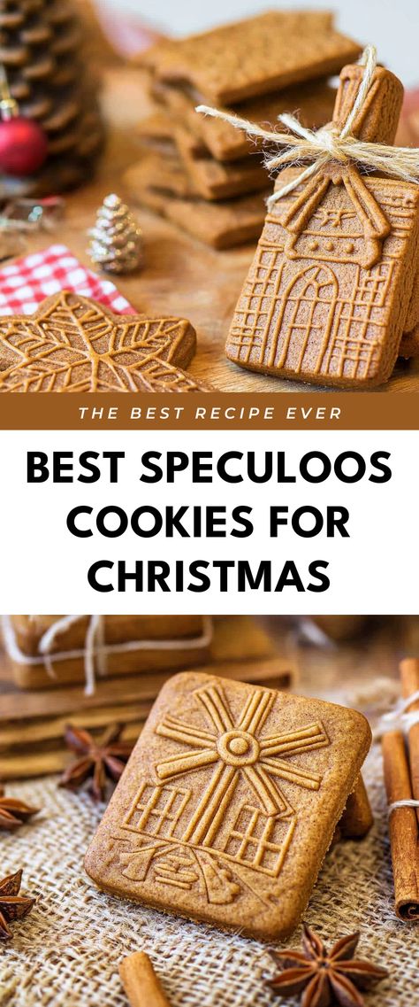 Image for Best Speculoos Cookies for Christmas Speculoos Recipe, Holiday Cookie Gift, Christmas Cookie Boxes, Cookies For Christmas, Speculoos Cookies, Christmas Cookie Box, Easy To Bake, Cookie Gift Box, Best Christmas Recipes