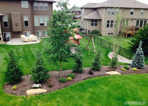 Backyard Landscaping To Hide Neighbors, Patio Privacy Landscaping Ideas, Backyard Landscaping Privacy Ideas, Privacy Around Patio With Plants, Privacy Landscaping Small Yard, Landscape For Privacy Front Yard, Landscaping To Hide Neighbors House, Backyard Tree Privacy Ideas, Backyard Privacy Ideas Landscapes