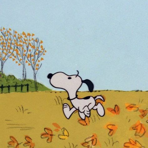 Snoopy, Its The Great Pumpkin Wallpaper, Autumn Charlie Brown, Autumn Cartoon Aesthetic, Fall Snoopy Pictures, Autumn Aesthetic Cartoon, Fall Profile Pics, Charlie Brown Autumn, Fall Cartoon Aesthetic The Great Pumpkin Charlie Brown Aesthetic, Peanuts Fall Aesthetic, Snoopy Fall Pfp, Fall Snoopy Pictures, The Great Pumpkin Wallpaper, Great Pumpkin Wallpaper, Cute Fall Pfp, Charlie Brown Autumn, Fall Cartoon Aesthetic