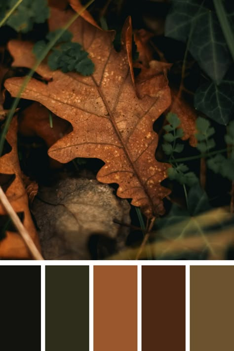 A close-up of a brown autumn leaf on the ground, surrounded by dark green foliage and a few blades of grass. The warm brown tones of the leaf highlight the details and texture, creating a rustic and natural feel. Warm Tones Aesthetic, Green And Brown Color Palette, Dark Earth Tones, Fall Color Pallet, Masculine Colors, Moody Room, Color Scheme Generator, Earth Colour Palette, Tone Color Palette