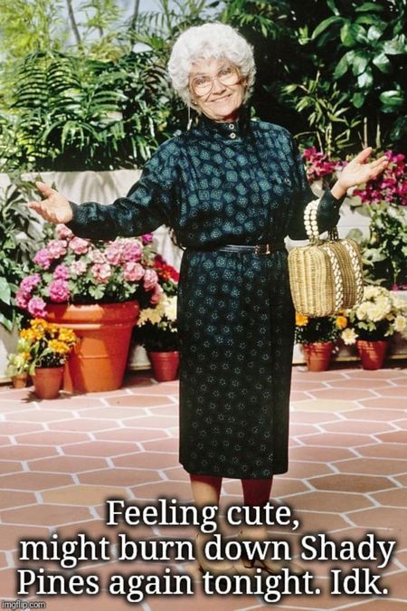 Sophia's best Golden Girls memes... and some of the brilliant lines that inspire them! Golden Girls Costumes, Sophia Golden Girls, Golden Girls Humor, Sophia Petrillo, Golden Girls Quotes, Films Posters, Estelle Getty, Trisha Yearwood, The Golden Girls