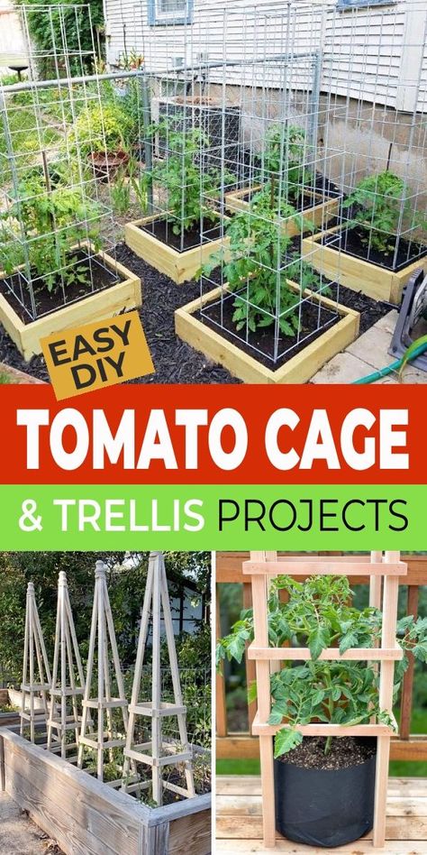 These DIY tomato cage and trellis ideas and projects are exactly what every good gardener needs so they can claim the biggest, the reddest, the most gorgeous tomato at the end of the season! #gardening #garden #tomatocage Trellis For Tomatoes, Diy Tomato Cage, Garden Craft Ideas, Garden Ideas Indoor, Tomato Support, Tomato Growers, Outdoor Room Decor, Tomato Trellis, Decor Garden Ideas