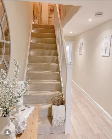 Hall Ways Ideas, Stairs And Hallway Ideas, House Renovation Design, Have A Lovely Evening, Staircase Interior Design, House Staircase, Narrow Hallway Decorating, Latest Living Room Designs, Home Hall Design