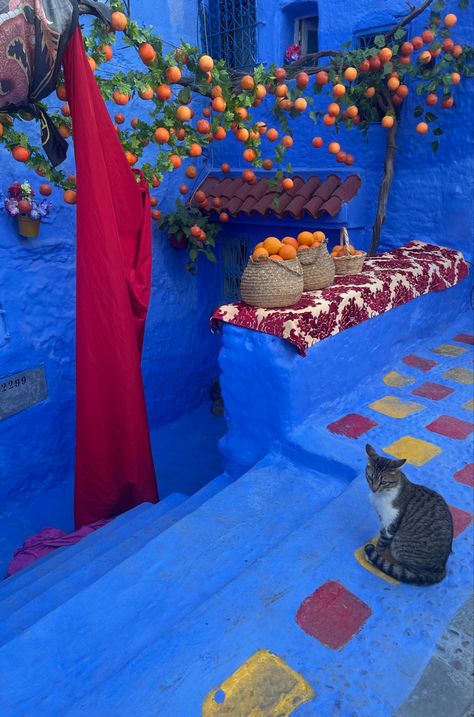 Morroco Blue City, Blue City Morocco, Morocco Chefchaouen, Moroccan Aesthetic, Moroccan Inspiration, Arab Culture, Colorful Places, Moroccan Blue, Morocco Travel