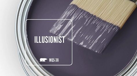 ILLUSIONIST MQ5-38 | Behr Paint Colors Purple Behr Paint Colors, Popular Behr Paint Colors Bedroom, Purple Interior Paint Colors, Behr Purple Paint Colors, Bear Paint Colors, Mint Green Room, Green Room Design, Best Bathroom Paint Colors, Purple Paint Colors