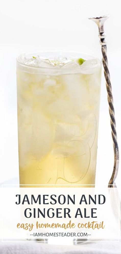 An easy recipe for a traditional cocktail! Jameson and Ginger Ale is a tasty combination of smooth Jameson whiskey with homemade ginger ale and lime juice. Squeeze one lime wedge over this alcoholic drink and drop it into the glass! Save this and try it! Jameson Whiskey Drinks, Ginger Ale Drinks, Homemade Drinks Recipes, Homemade Ginger Ale, Vodka Recipes Drinks, Ginger Cocktails, Jameson Whiskey, Ginger Drink, Vodka Lemonade