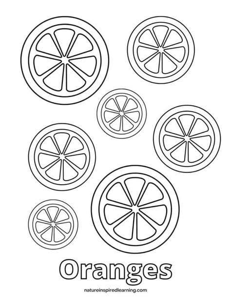 Orange Coloring Page, Kindergarten Coloring Sheets, Preschool Craft Activities, Unique Images, Preschool Art Activities, Coloring Pages For Adults, Plastic Crafts, Unique Image, Preschool Art