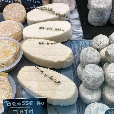 Jennifer on Instagram: “One of the freshest, fluffiest, melt in your mouth sheep milk cheeses to enjoy during its short spring and summer season. Le Brossauthym…” Sheep Milk, Sheep Cheese, Milk And Cheese, Melt In Your Mouth, Summer Season, Sheep, Condiments, Milk, Cheese