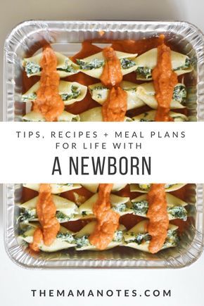 Pregnancy Freezer Meals, Freezer Meal Plan, Life With A Newborn, Freezer Dinners, Freezer Friendly Meals, Freezable Meals, Freezer Meal Planning, Make Ahead Freezer Meals, Meal Train Recipes