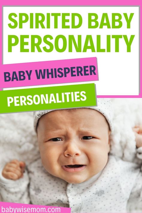 Learn about the spirited baby personality type as described by Tracy Hogg in the Baby Whisperer books. Learn what to expect from your baby. Potty Training Help, Baby Whisperer, Baby Help, Baby Schedule, Motherhood Inspiration, Help Baby Sleep, Parenting Knowledge, Parenting Help, Organized Mom