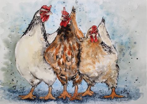 How to paint a white chicken How To Paint Chickens, White Chicken Painting, Watercolor Chickens, Chicken Pictures Art, Chicken Watercolor, Watercolor Art Chicken, Watercolor Chicken, Chicken Paintings, Chicken Portrait